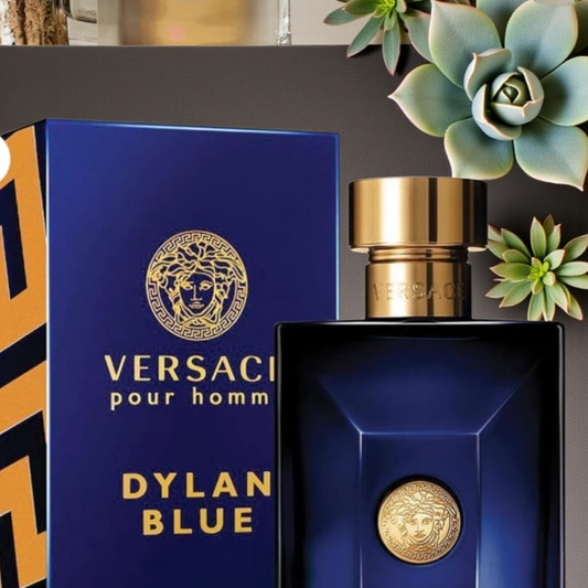 Versace Pour Homme Dylan Blue 100ml